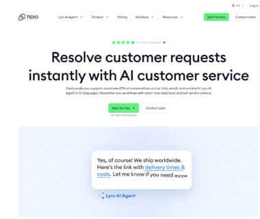 Tidio Homepage