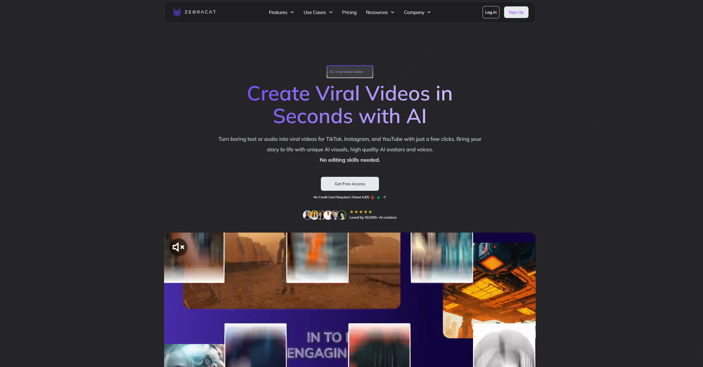 Zebracat Homepage